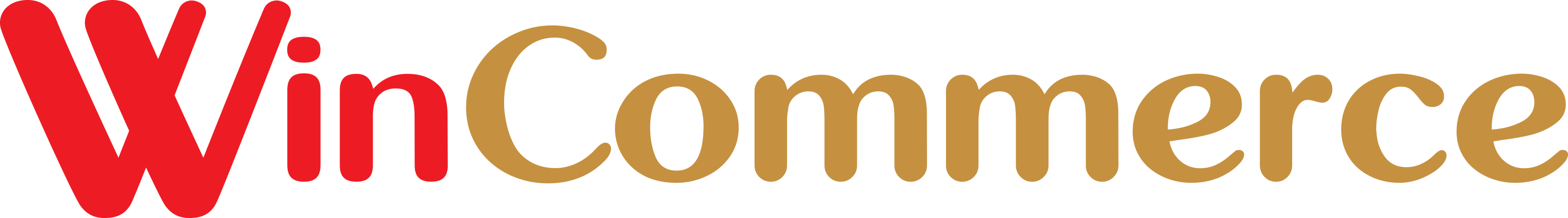 14. Công ty CP Dịch vụ Thương mại Tổng hợp WINCOMMERCE